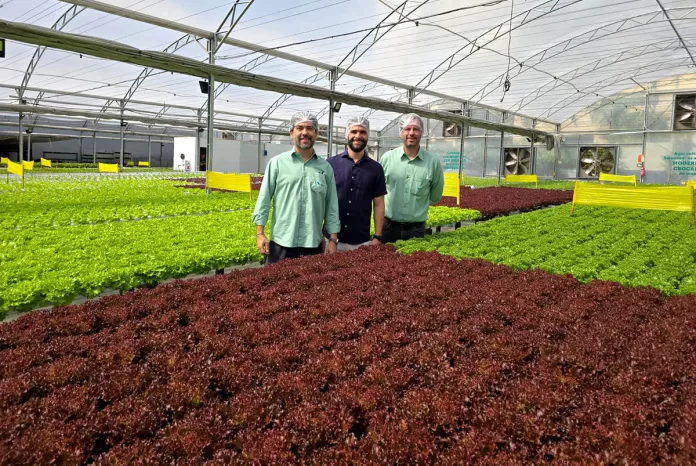 Área minerada transformada em polo de produção de hortaliças em Nova Lima