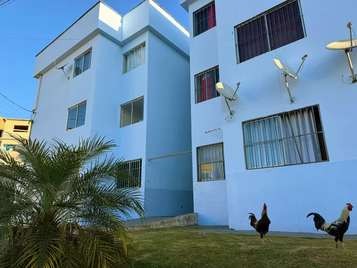 Mariana realiza a entrega da reforma dos predinhos