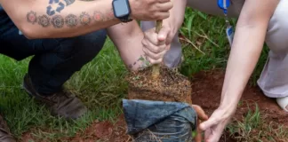 Itabirito distribui mudas de graça para moradores