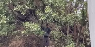 Bombeiros resgatam homem em situação de risco no Morro da Forca, em Ouro Preto