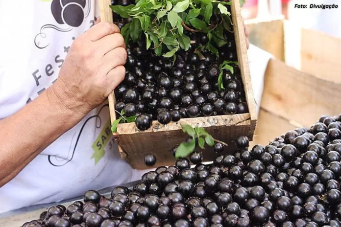 Sabará se prepara para celebrar a 39ª edição do Festival da Jabuticaba