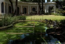 Edital seleciona nova intervenção artística no Jardim Imaginário
