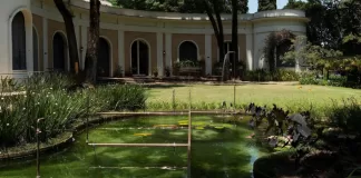 Edital seleciona nova intervenção artística no Jardim Imaginário