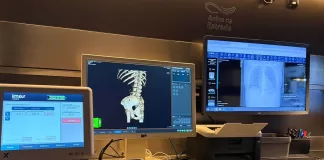 Mariana recebe terceira carreta de exames e avança na redução de filas de espera