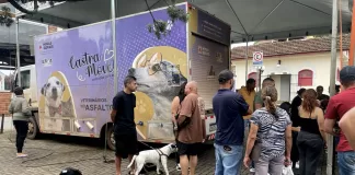 Ação garante castração de 215 cães e gatos em Itabirito