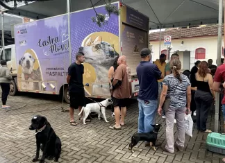 Ação garante castração de 215 cães e gatos em Itabirito