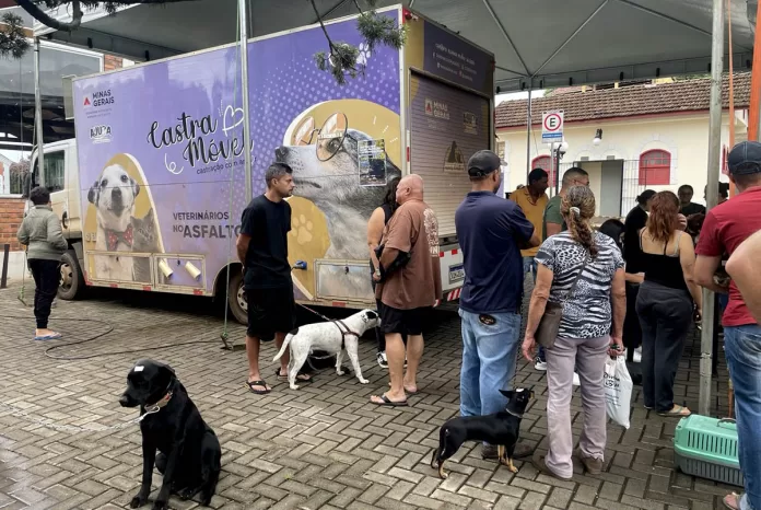 Ação garante castração de 215 cães e gatos em Itabirito