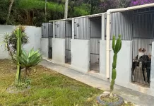 Centro de Acolhimento de Animais de Mariana é reformado