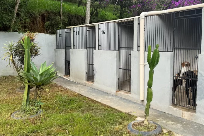 Centro de Acolhimento de Animais de Mariana é reformado