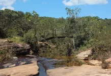 Monitoramento aponta qualidade “muito boa” e “excelente” nas águas do Parque das Andorinhas