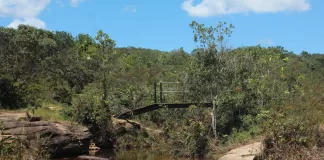 Monitoramento aponta qualidade “muito boa” e “excelente” nas águas do Parque das Andorinhas
