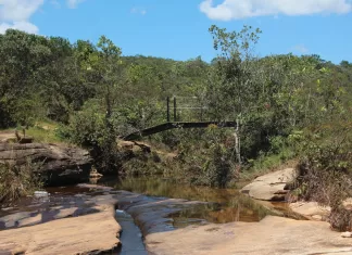 Monitoramento aponta qualidade “muito boa” e “excelente” nas águas do Parque das Andorinhas