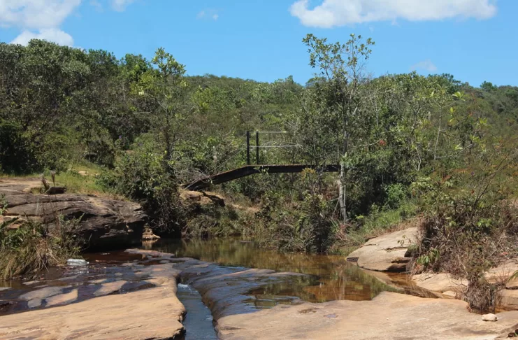 Monitoramento aponta qualidade “muito boa” e “excelente” nas águas do Parque das Andorinhas
