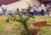 Mês da Água termina com plantio do "Bosque do Amanhã" na nova escola de Pacas
