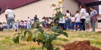 Mês da Água termina com plantio do "Bosque do Amanhã" na nova escola de Pacas