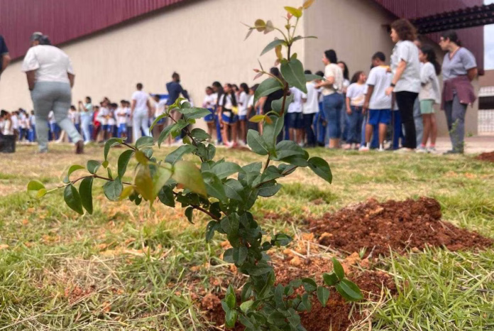 Mês da Água termina com plantio do 