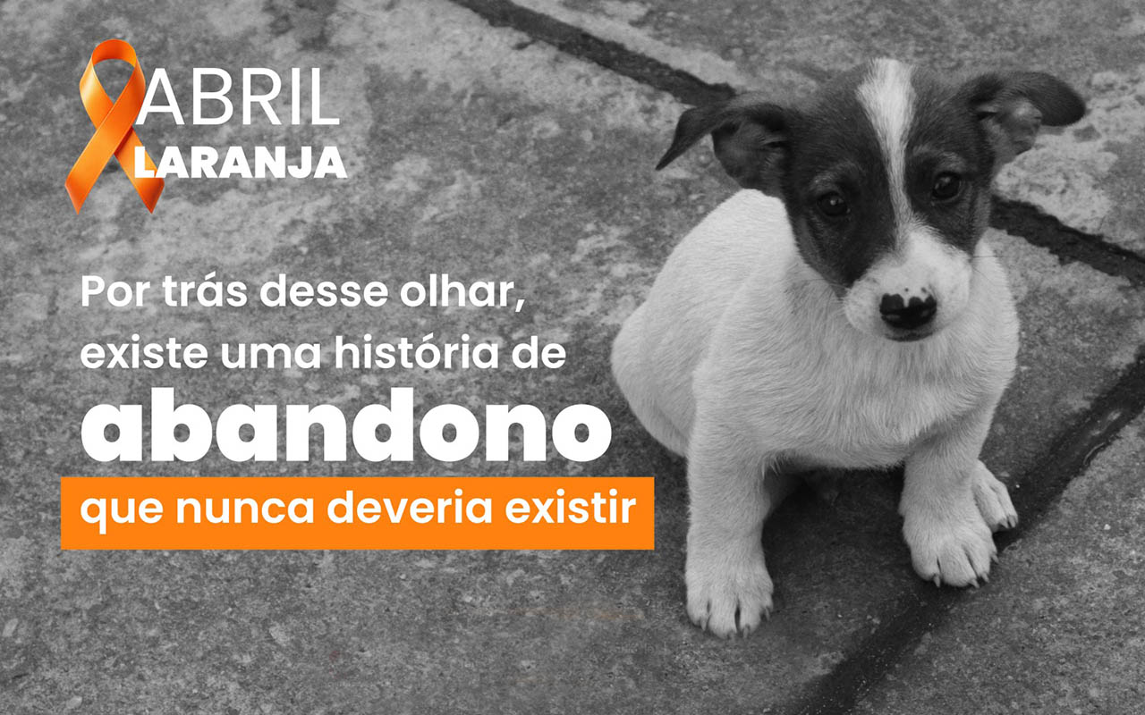 Mariana reforça combate ao abandono de animais