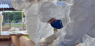 IMA vistoria 50 propriedades rurais em exercício simulado de gripe aviária