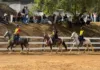 6ª Semana do Cavalo Mangalarga Marchador movimenta Mariana