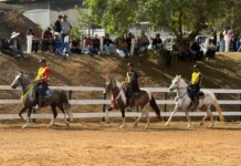 6ª Semana do Cavalo Mangalarga Marchador movimenta Mariana