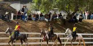 6ª Semana do Cavalo Mangalarga Marchador movimenta Mariana