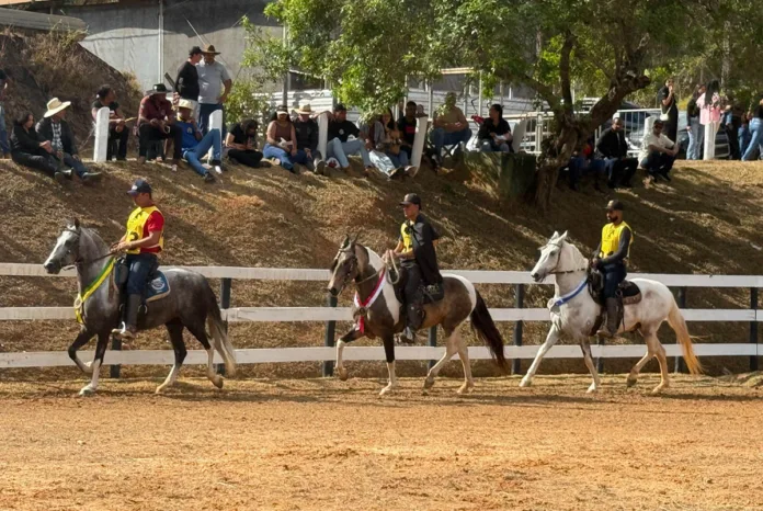 6ª Semana do Cavalo Mangalarga Marchador movimenta Mariana