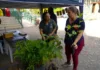 Itabirito celebra Dia da Mata Atlântica com doação de mudas