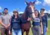 Equoterapia de São Gonçalo do Rio Abaixo recebe mais um animal