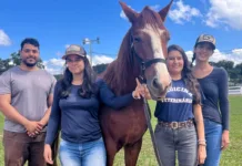 Equoterapia de São Gonçalo do Rio Abaixo recebe mais um animal
