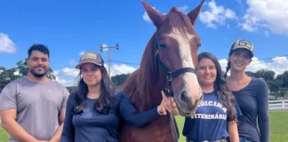 Equoterapia de São Gonçalo do Rio Abaixo recebe mais um animal