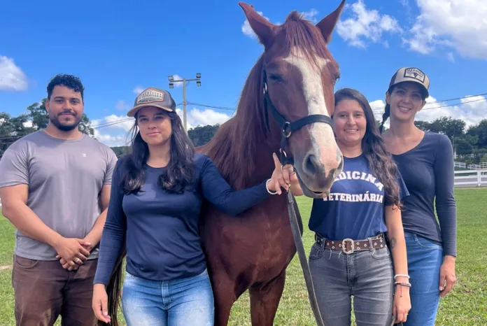 Equoterapia de São Gonçalo do Rio Abaixo recebe mais um animal