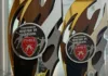 Handebol de São Gonçalo conquista título e vice no Campeonato Mineiro Júnior Sub-21