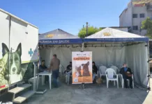 O Mutirão de Castração está de volta em Ouro Preto