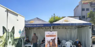 O Mutirão de Castração está de volta em Ouro Preto