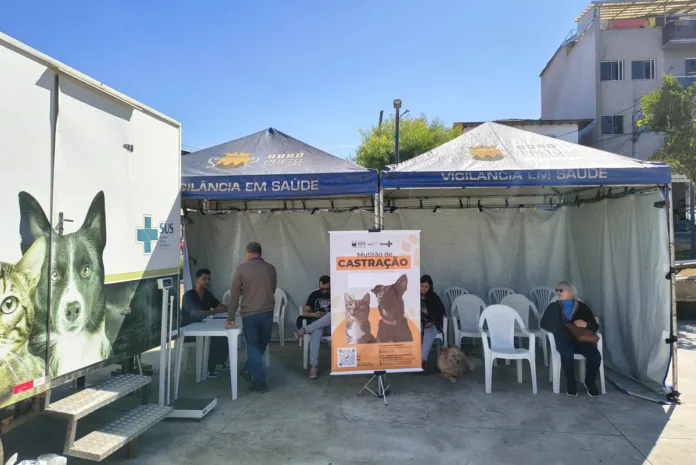O Mutirão de Castração está de volta em Ouro Preto
