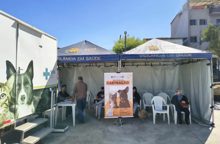 O Mutirão de Castração está de volta em Ouro Preto