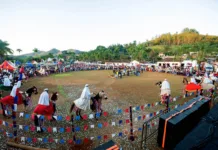 Cavalhada de Brumal reúne centenas de pessoas em celebração de fé e tradição Cavalhada de Brumal reúne centenas de pessoas em celebração de fé e tradição