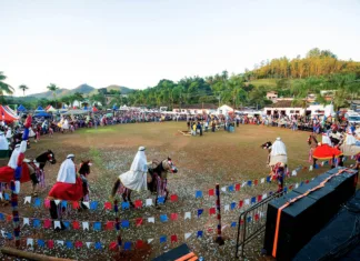 Cavalhada de Brumal reúne centenas de pessoas em celebração de fé e tradição Cavalhada de Brumal reúne centenas de pessoas em celebração de fé e tradição