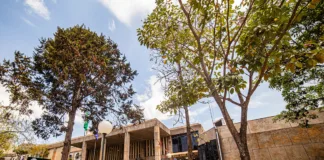 Prefeitura de Itabirito realiza leilão público de veículos e bens inservíveis