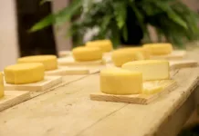 Concurso destaca tradição e qualidade do Queijo Minas Artesanal em Santa Bárbara Concurso destaca tradição e qualidade do Queijo Minas Artesanal em Santa Bárbara