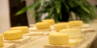 Concurso destaca tradição e qualidade do Queijo Minas Artesanal em Santa Bárbara Concurso destaca tradição e qualidade do Queijo Minas Artesanal em Santa Bárbara