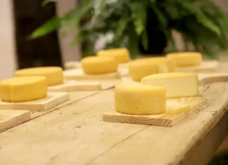 Concurso destaca tradição e qualidade do Queijo Minas Artesanal em Santa Bárbara Concurso destaca tradição e qualidade do Queijo Minas Artesanal em Santa Bárbara