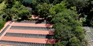 Apoio da Samarco amplia conservação e reintrodução de aves ameaçadas na Bacia do Rio Doce