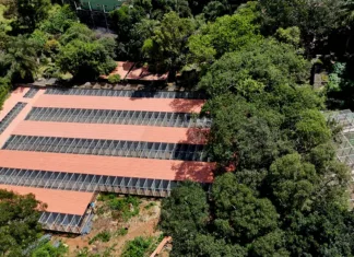 Apoio da Samarco amplia conservação e reintrodução de aves ameaçadas na Bacia do Rio Doce Apoio da Samarco amplia conservação e reintrodução de aves ameaçadas na Bacia do Rio Doce