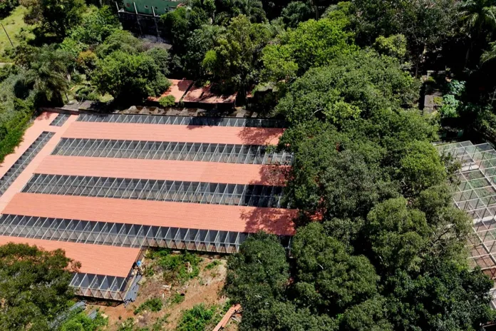 Apoio da Samarco amplia conservação e reintrodução de aves ameaçadas na Bacia do Rio Doce