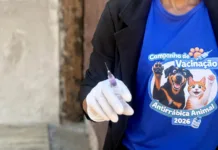 Campanha de Vacinação Antirrábica Animal tem início em Mariana Campanha de Vacinação Antirrábica Animal tem início em Mariana