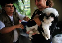 Vacinação Antirrábica acontece nos próximos dois sábados em Monlevade Vacinação Antirrábica acontece nos próximos dois sábados em Monlevade