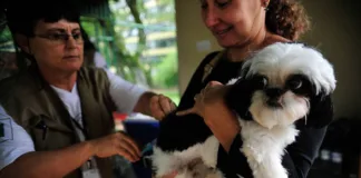 Vacinação Antirrábica acontece nos próximos dois sábados em Monlevade