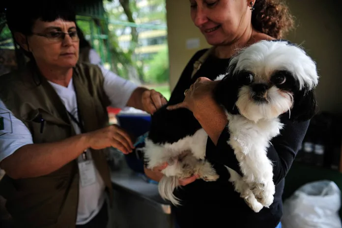 Vacinação Antirrábica acontece nos próximos dois sábados em Monlevade