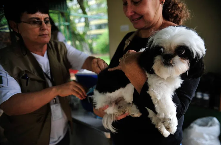 Vacinação Antirrábica acontece nos próximos dois sábados em Monlevade